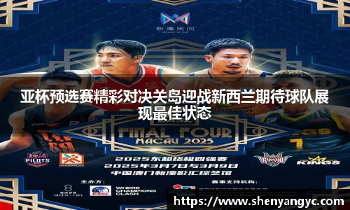 伟德bv国际体育