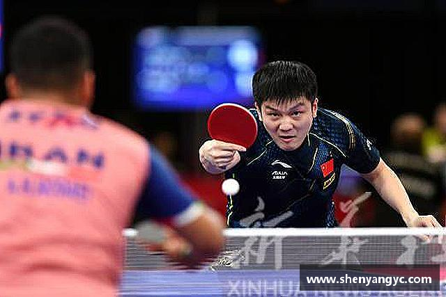 发现bevictor伟德